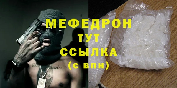 трава Няндома