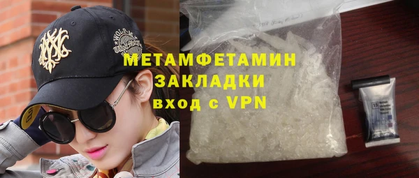 трава Няндома
