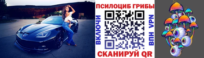Галлюциногенные грибы MAGIC MUSHROOMS  закладка  Сосновка 